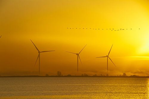 Wind turbines during sunrise
