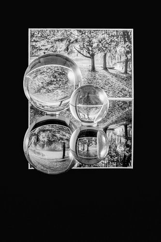 Reflections of Nature