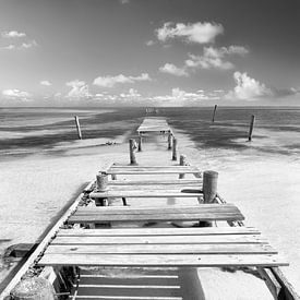 Jetty on a Caribbean beach in black and white by Manfred Voss, Black-White Photography