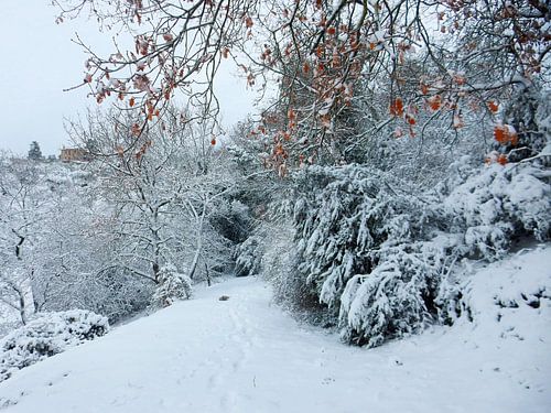 Italiaanse sneeuw scène