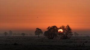 Lever de soleil à Rouveen