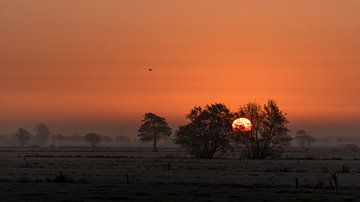 Sonnenaufgang in Rouveen von Erik Veldkamp