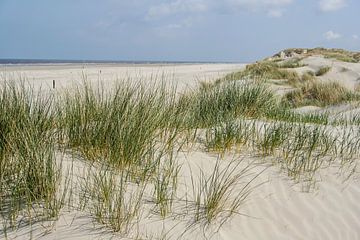 Duinlandschap Nederlandse waddeneilanden van Hilda Weges