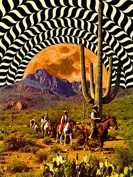 Illusionaire cowboys van Taudalpoi