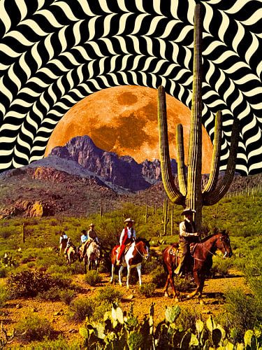 Illusionaire cowboys
