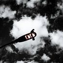 schwarz und weiß Silhouette einer Taube von Jan Hermsen Miniaturansicht