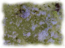 Abstraktes Grün Weiß von Maurice Dawson