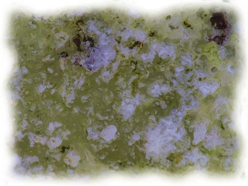 Abstract groen wit