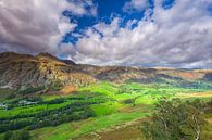 Uitzicht vanaf Side Pike in de Lake District van Ron Buist thumbnail