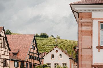 Die Weinberge des Elsass | Frankreich von Marika Huisman fotografie