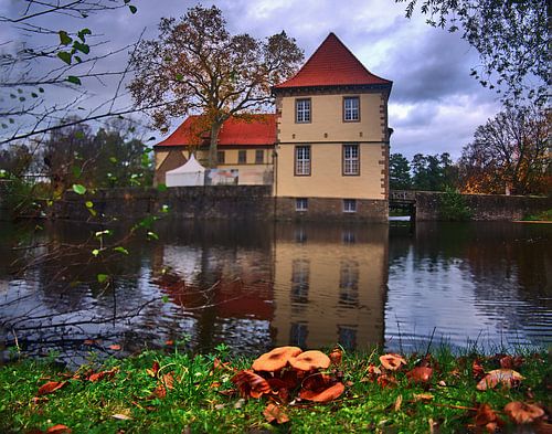 Strünkedepanorama 2