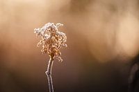 Winterlandschaft