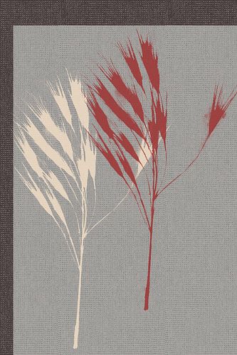 Retro abstract botanisch. Gras in rood en wit op grijs blauw.