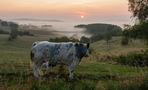 zonsopkomst in Frasnes