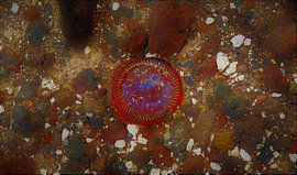 Bottom of the Bottle by Marcia van de Bovenkamp