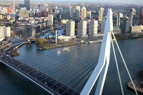 Rotterdam Erasmusbrug