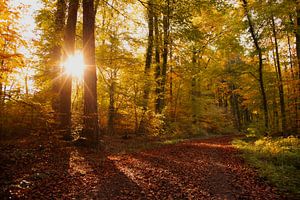 Farben der Erde bunter Herbst