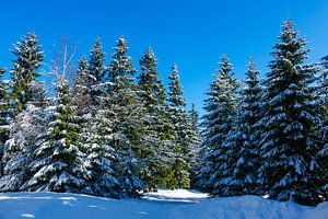 Winter im Riesengebirge bei Benecko, Tschechien