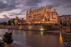 Die Kathedrale von Palma de Mallorca (La Seu) bei Nacht