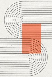 Harmonie courbe sur THE MIUUS STUDIO