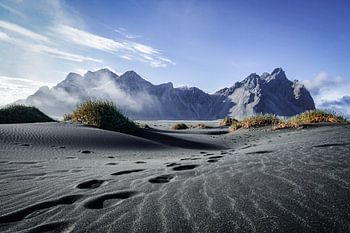 Spuren im Sand von Stokksnes