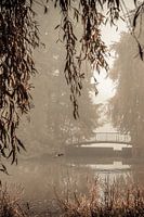 bridge