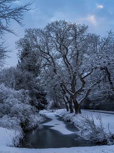 Natuur onder een laag poedersuiker