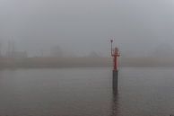 Mist over de rivier de IJssel von Brian Morgan Miniaturansicht