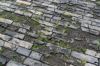 De oude weg