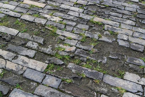 L'ancienne route
