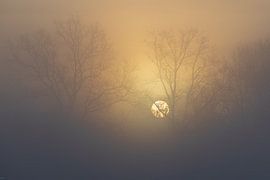 Wenn die Sonne durchbricht