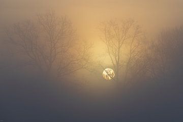 When the sun breaks through by Thomas Heins