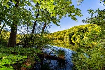 Herthasee im Jasmunder Nationalpark, Insel Rügen