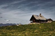 Op een hoge bergtop even alleen op de wereld van Saranda in 't Veld Fotografie thumbnail