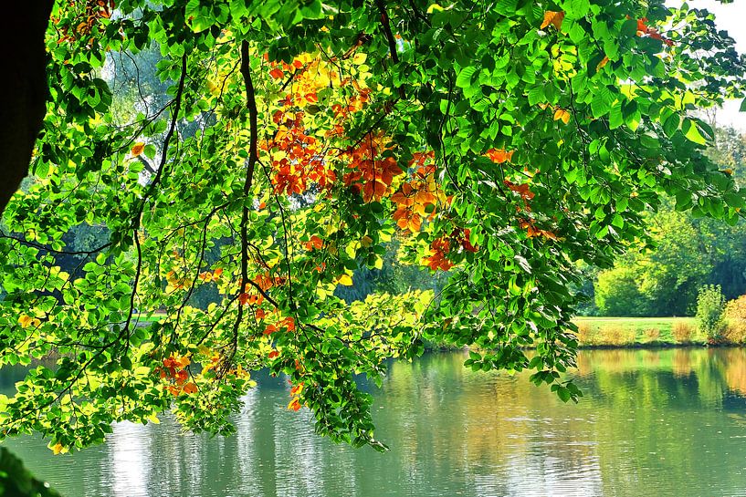 Automne 3 par Edgar Schermaul