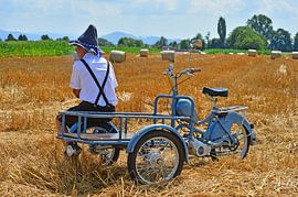 Messerschmitt Mokuli 130 A -- Pic 5 von Ingo Laue