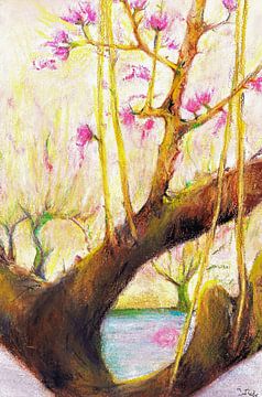 Japanischer Kirschblütenbaum.  Handgemalte Pastellzeichnung. von Ineke de Rijk