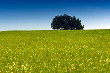 Green and Blue van Olaf Eckhardt