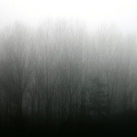 Haze van Inge Berken