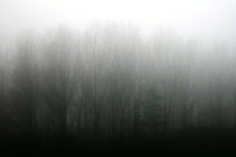 Haze by Inge Berken
