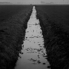 Winter in de polder by Rene  den Engelsman