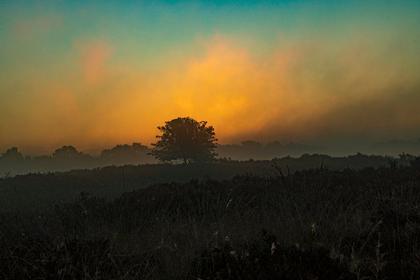 Zonsopkomst, zonsondergang, hei, mist, nevel, kleurrijk, Drenthe, Exloo, Poolshoogte, heidevelden, s van Gert Hilbink