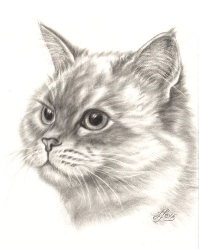 Katze in Drybrush-Technik