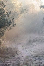 Planken Wambuis Teil 129 von Tania Perneel