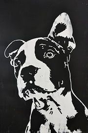 Minimalistisches Straßenhundeporträt von Imperial Art House