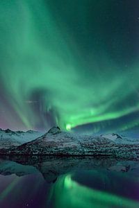 Nordlichter, Polarlicht oder Aurora Borealis im nächtlichen Himmel über den Lofoten Inseln in Nord-N
