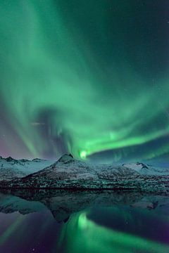 Nordlichter, Polarlicht oder Aurora Borealis im nächtlichen Himmel über den Lofoten Inseln in Nord-N von Sjoerd van der Wal