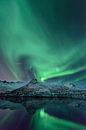 Nordlichter, Polarlicht oder Aurora Borealis im nächtlichen Himmel über den Lofoten Inseln in Nord-N von Sjoerd van der Wal Fotografie Miniaturansicht