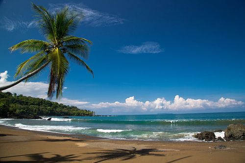 Prachtig afgeleden strand