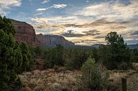 Sedona ochtendgloren Arizona